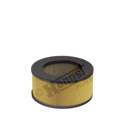 Air Filter (E254L)