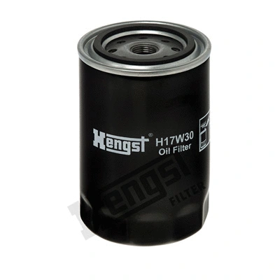 Oil Filter (H17W30)