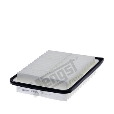 Air Filter (E895L)