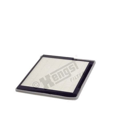 Filter, cabin air (E973LI)