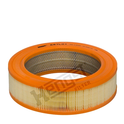 Air Filter (E87L01)