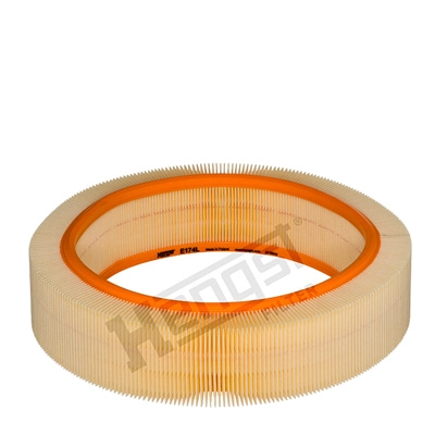 Air Filter (E174L)