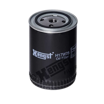 Oil Filter (H17W25)