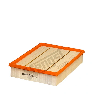 Air Filter (E243L)