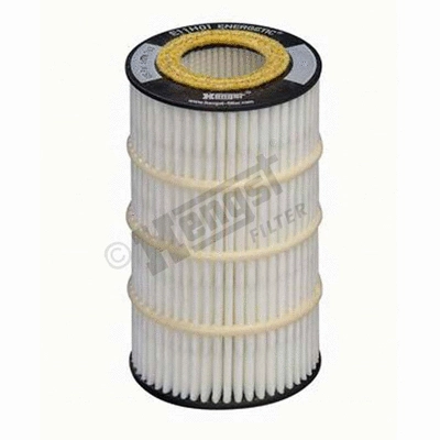 Oil Filter (E11H01 D50)