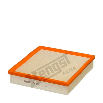 Air Filter (E846L)