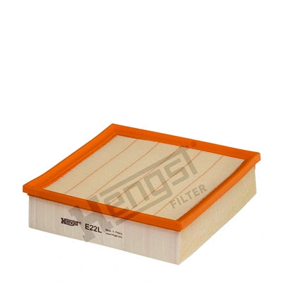 Air Filter (E22L)