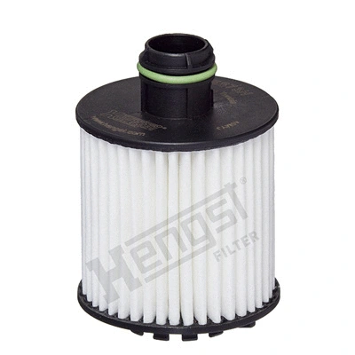 Oil Filter (E873H D377)
