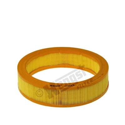 Air Filter (E392L)