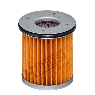 Hydraulic Filter, automatic transmission (EG1096H)