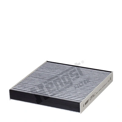 Filter, cabin air (E3976LC)