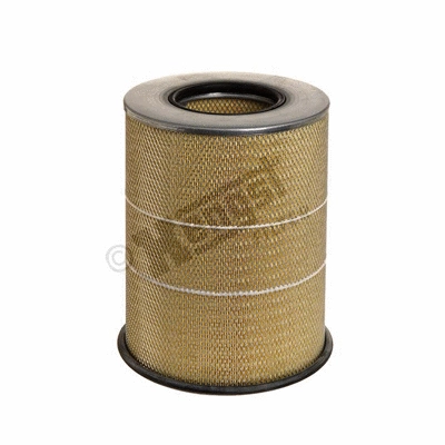 Air Filter (E496L)