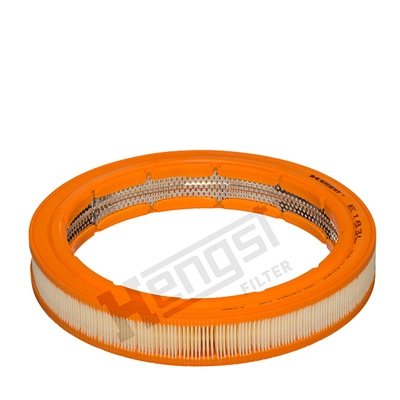 Air Filter (E183L)