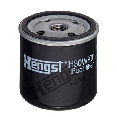 Fuel Filter (H30WK01)