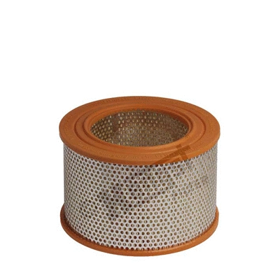 Air Filter (E1300L)