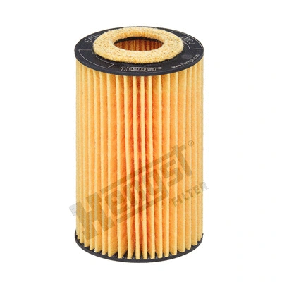 Oil Filter (E45H D113)