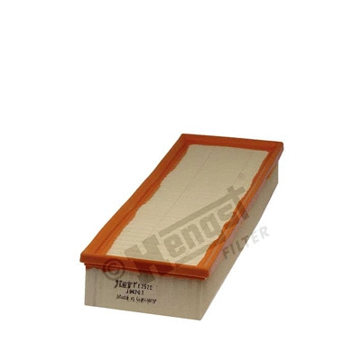 Air Filter (E252L)