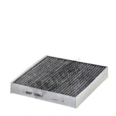 Filter, cabin air (E5948LC)