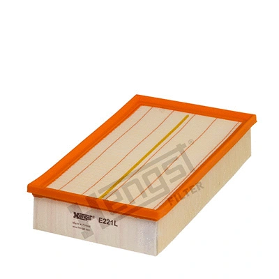 Air Filter (E221L)