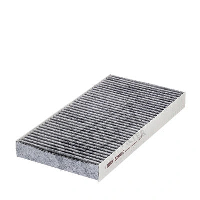 Filter, cabin air (E2904LC)