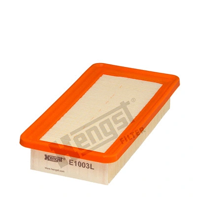 Air Filter (E1003L)