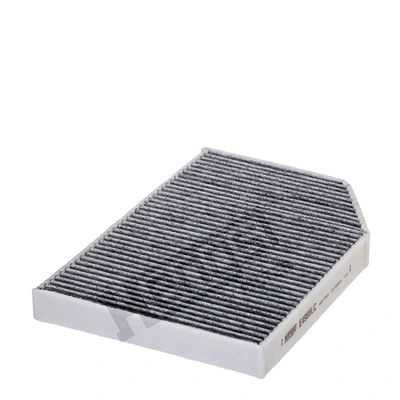 Filter, cabin air (E4980LC)