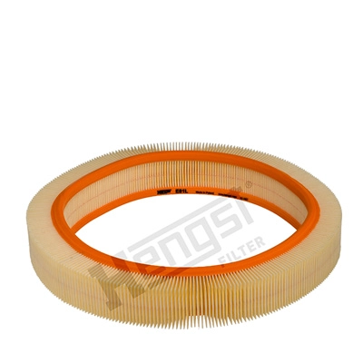 Air Filter (E81L)