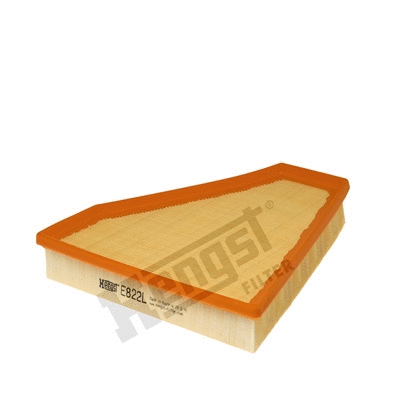 Air Filter (E822L)