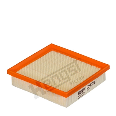 Air Filter (E2172L)