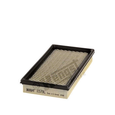 Air Filter (E579L)