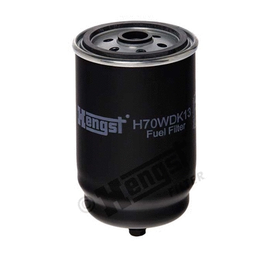 Fuel Filter (H70WDK13)