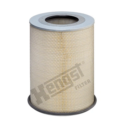 Air Filter (E496L01)