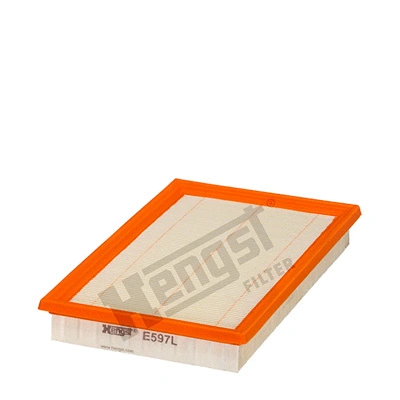 Air Filter (E597L)