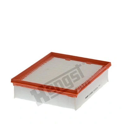 Air Filter (E1022L)
