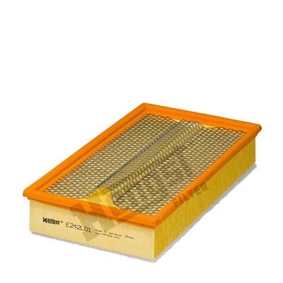 Air Filter (E242L01)