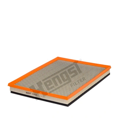 Air Filter (E843L)