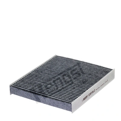 Filter, cabin air (E3919LC)