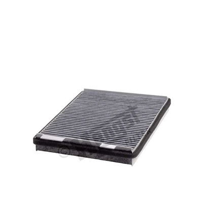 Filter, cabin air (E960LC)