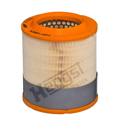 Air Filter (E725L)