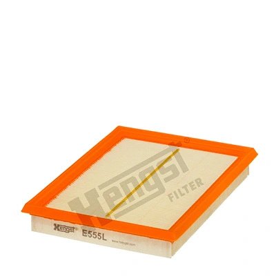 Air Filter (E555L)