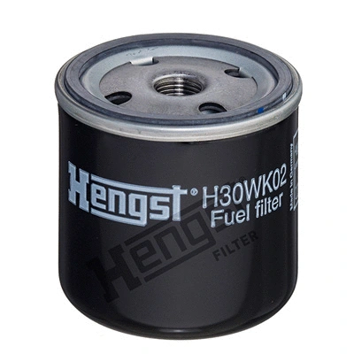 Fuel Filter (H30WK02)