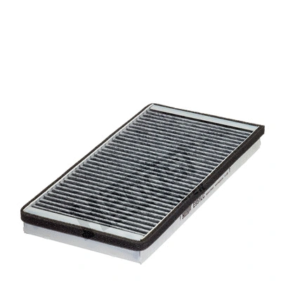 Filter, cabin air (E951LC)