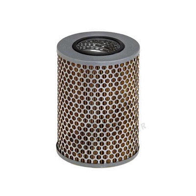 Oil Filter (E59H)