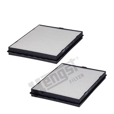 Filter, cabin air (E960LI-2)