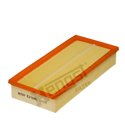 Air Filter (E2184L)