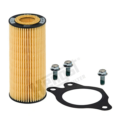 Hydraulic Filter, automatic transmission (E28H D174)