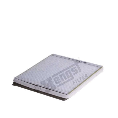 Filter, cabin air (E981LI)