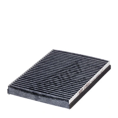 Filter, cabin air (E1962LC)