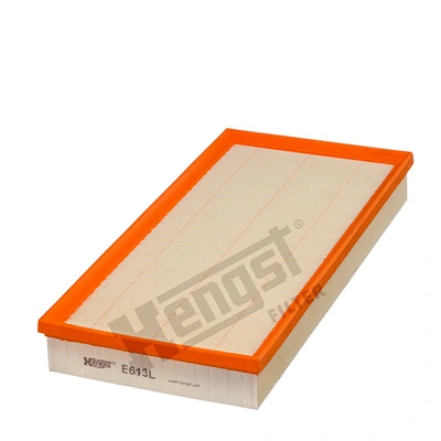 Air Filter (E613L)