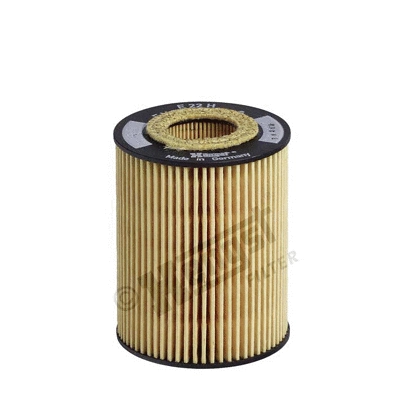 Oil Filter (E22H D190)
